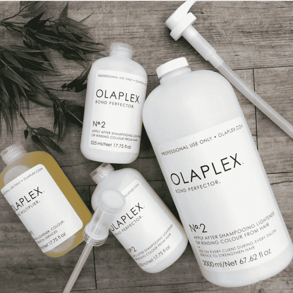 Beat Damaged Summer Hair With Olaplex Salon Ziba