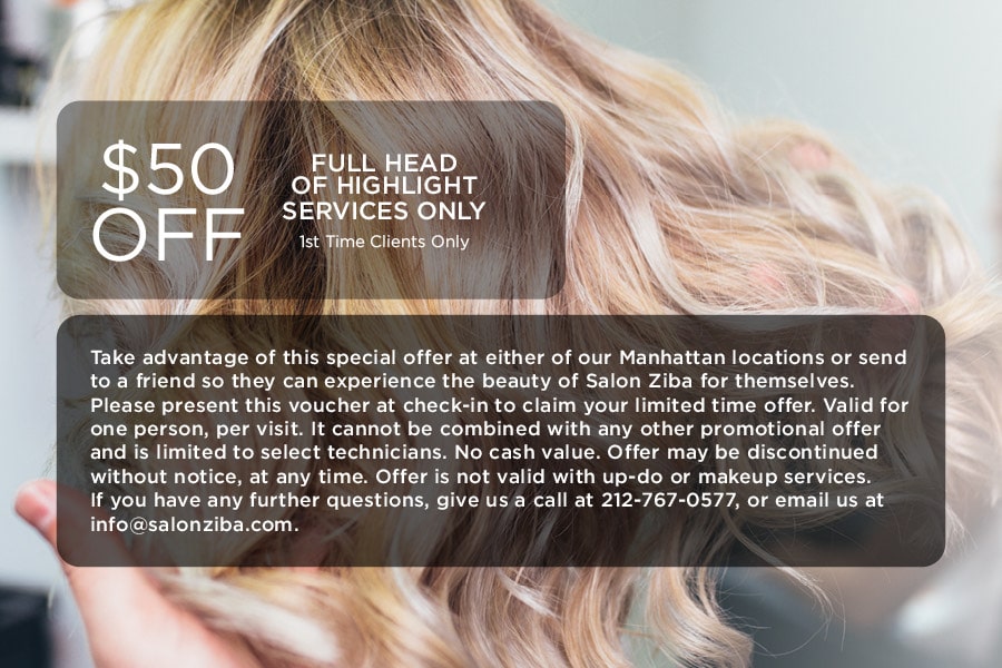 $50 Off Full Head of Highlight Services