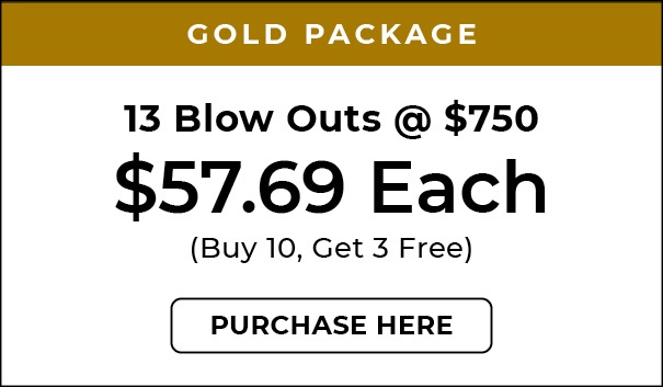 blowoutpackages 2026-gold Flexible Blowout Packages, Salon Ziba