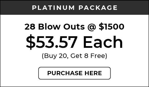 blowoutpackages 2026-platinum Flexible Blowout Packages, Salon Ziba