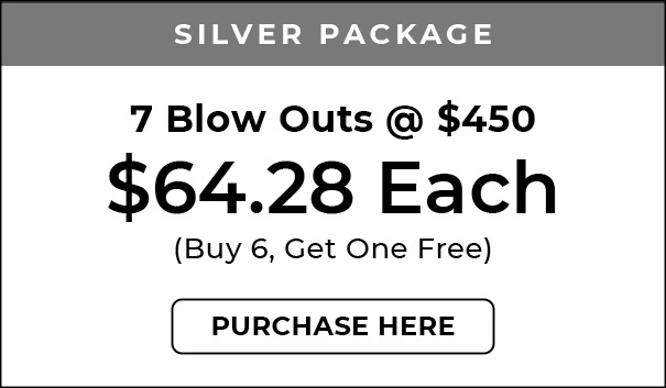 blowoutpackages 2026-silver Flexible Blowout Packages, Salon Ziba